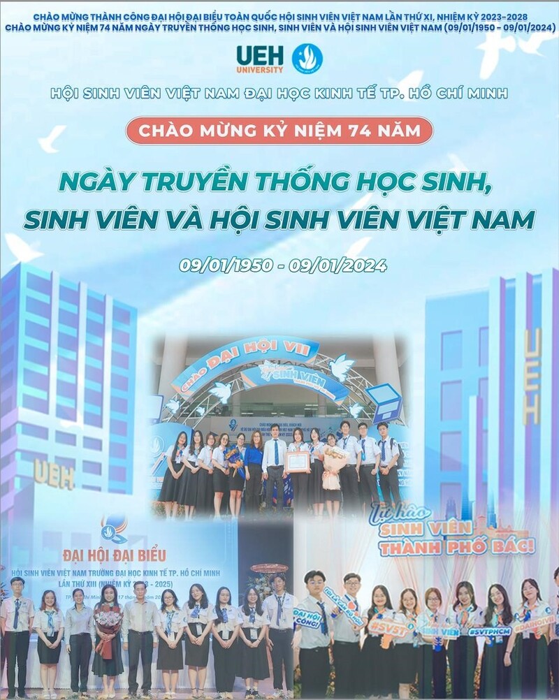 cá cược thể thao hul city